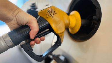 Checking Fuel Prices Online? What Motorists Should Know During Price Surges