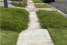 The Real Story Behind the Viral Australian Lawnmower