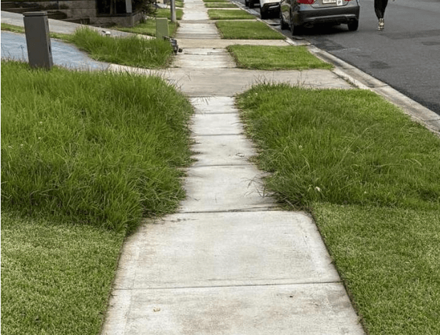 The Real Story Behind the Viral Australian Lawnmower