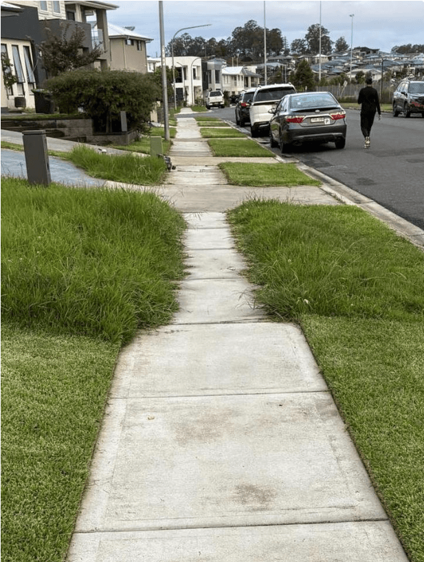 The Real Story Behind the Viral Australian Lawnmower