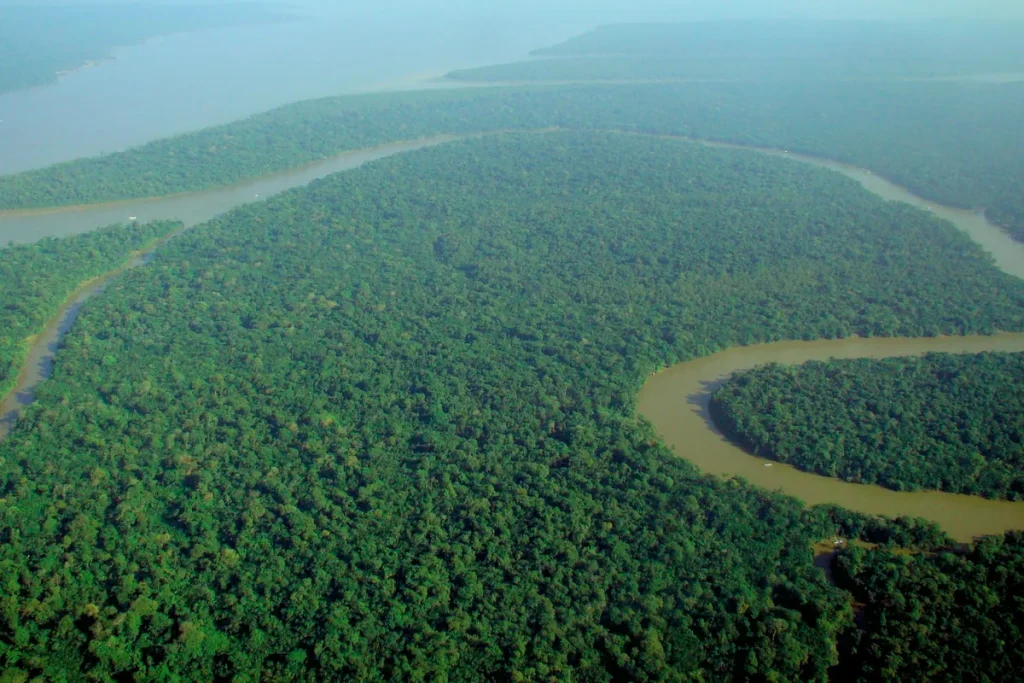 Aerial view of dense green Amazon rainforest cut by a winding brown river, with a wider river and more forest fading into haze in the distance.