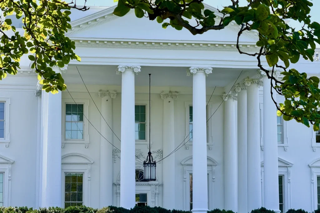 White columns and a hanging lantern of the White House North Portico, partly framed by overhanging leafy branches, with clipped hedges along the base.